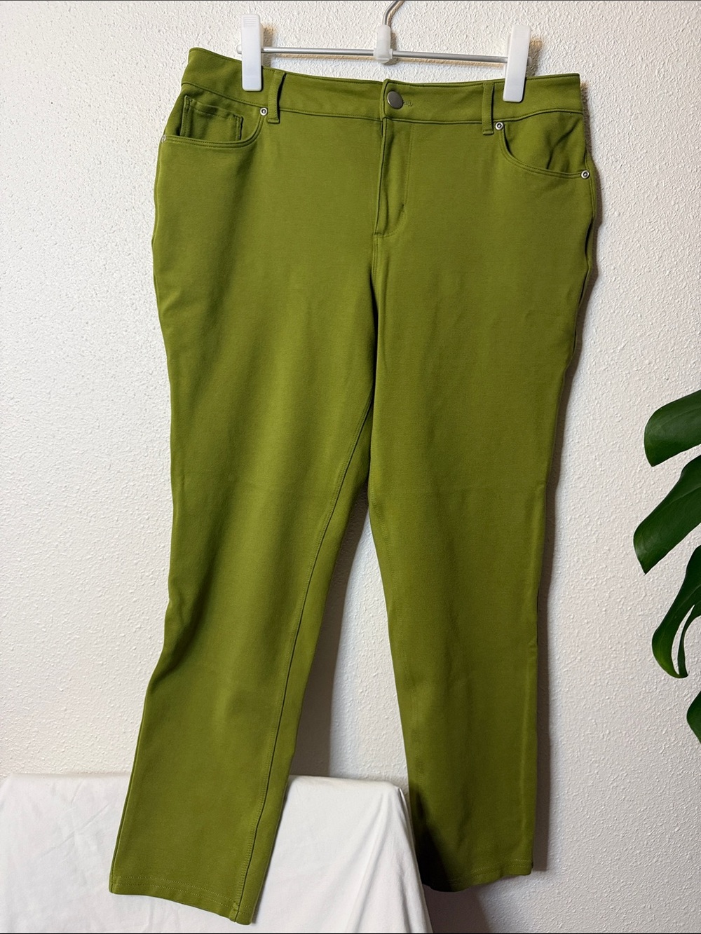 Cato Olive Green Cropped Stretch Pants